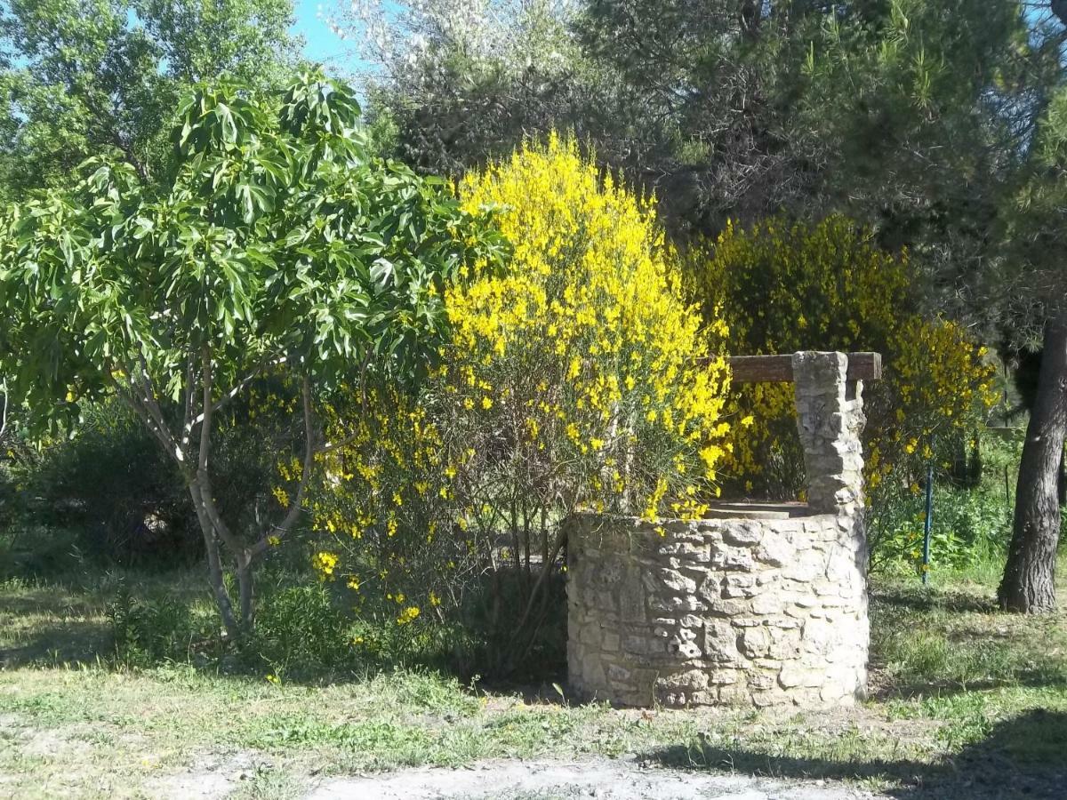 B&B Le Petit Frigouye Rochefort-du-Gard Kültér fotó
